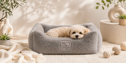 A small, light-colored dog rests comfortably in a gray, plush pet bed surrounded by decorative